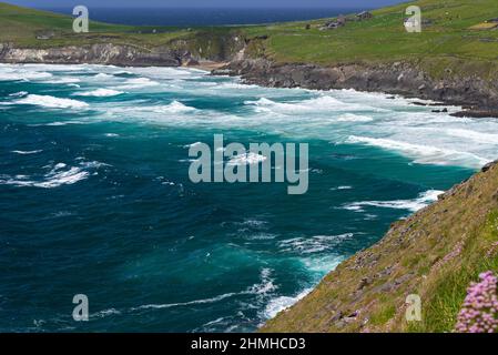 Surfen Sie im Blasket Sound, Slea Head, Dingle Peninsula, Irland, County Kerry Stockfoto