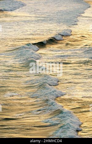 Surfen auf Blasket Sound, Abendlicht, Slea Head, Dingle Peninsula, Irland, County Kerry Stockfoto