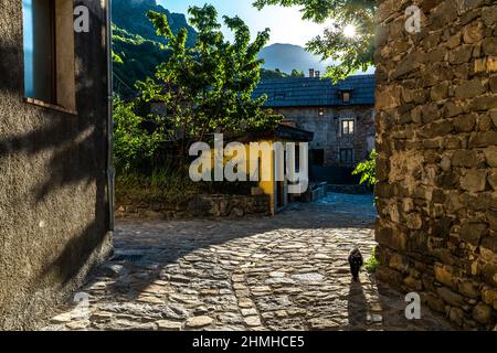 Zentrum von Saint-Dalmas-le-Selvage Stockfoto