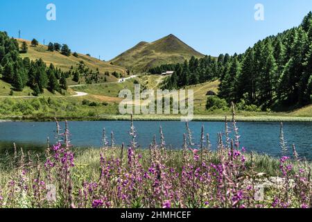 See am Col de Vars Stockfoto