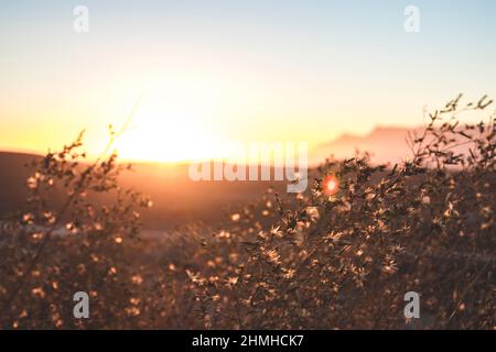 Sonnenuntergang, Uis, Brandberg-Massiv, Namibia, Afrika Stockfoto