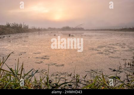 Nebliger Sonnenaufgang im Deichvorland der Elbe bei Garlstorf/Bleckede über einem Teich Stockfoto