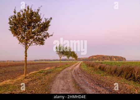 Unbefestigte Straße im Oktober Stockfoto