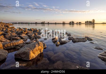 Blick über die Elbe bei Badegast/Bleckede am Morgen Stockfoto