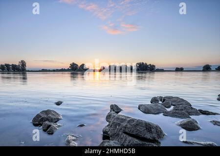 Blick über die Elbe bei Badegast/Bleckede am Morgen Stockfoto