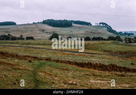 Habitancum - ein altes römisches Fort (Castrum) in Risingham, Northumberland, England. Die Festung war eine der Verteidigungsstrukturen entlang der Dere Street, einer römischen Straße, die von York nach Corbridge und weiter nach Melrose führt. Gesamtansicht von Südosten. Archivscan von einem Dia. Februar 1975. Stockfoto