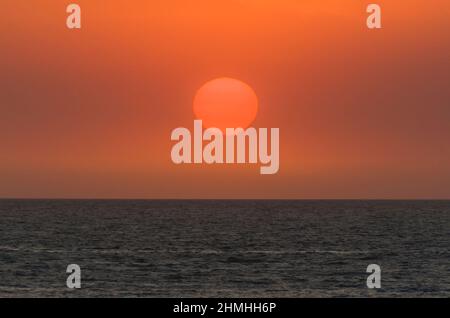 Wunderschöner Sonnenuntergang am uruguayischen Strand mit Pflanzen im Vordergrund Stockfoto