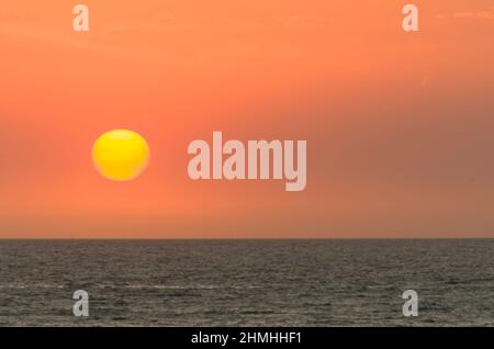 Wunderschöner Sonnenuntergang am uruguayischen Strand mit Pflanzen im Vordergrund Stockfoto