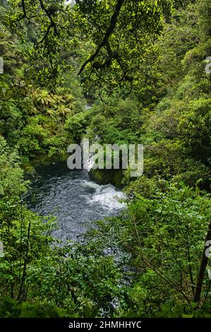 Im Whirinaki Forest Park fließt der Fluss Whirinaki durch eine tiefe Schlucht im Regenwald. In der Nähe von Minginui in Te Urewera, Nordinsel, Neuseeland Stockfoto