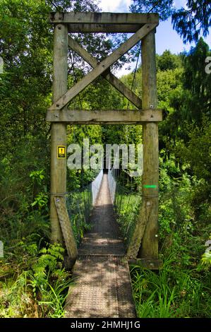 Hölzerne Hängebrücke für Wanderer über den Ohinemuri River in Karangahake, am Fuße der Coromandel Range, Nordinsel, Neuseeland Stockfoto