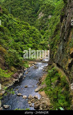 Der Karangahake Mountain und Crown Loop Track durch die spektakuläre Schlucht des Whaitawheta River, der Coromandel Range, North Island, Neuseeland Stockfoto