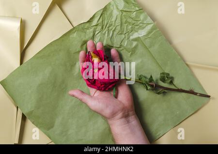 Eine verblassende Rose in der offenen Handfläche eines Mannes. Ein reifer Mann, der eine sterbende Blume vor einem bunten Hintergrund hält. Selektiver Fokus. Stockfoto