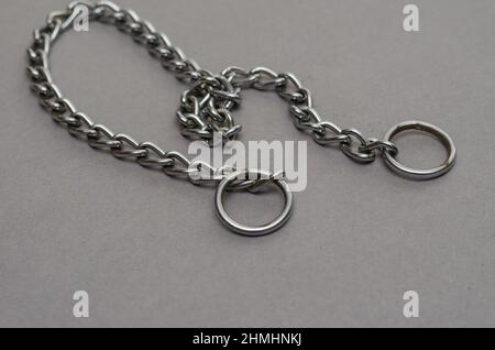 Silberne Metallkette mit zwei Ringen auf grauem Hintergrund. Zerren der Hundeleine. Selektiver Fokus. Stockfoto