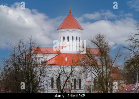 VILNIUS, LITAUEN - 2020. MÄRZ 06.eines der ältesten christlichen Heiligtümer der Stadt - die Kathedrale der Gottesmutter. Stockfoto