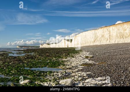 Die weißen Kreidefelsen der Seven Sisters bei Birling Gap in der Nähe von Eastbourne in East Sussex, England. Ebbe, Kiesstrand und Felsenpools. Stockfoto