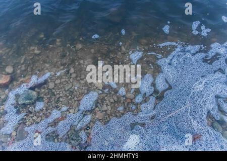 Schaumstoff abstraktes natürliches Schaummuster auf der Oberfläche des Wassersees Hintergrundtextur. Stockfoto