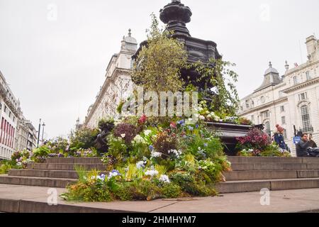 10. Februar 2022, London, England, Großbritannien: Der Shaftesbury Memorial Fountain im Piccadilly Circus, im Volksmund auch als Eros bekannt, wurde vor der Veröffentlichung von BBC's Green Planet AR Experience, die am 11th. Februar eröffnet wird, mit Pflanzen und Blumen bedeckt. (Bild: © Vuk Valcic/ZUMA Press Wire) Stockfoto