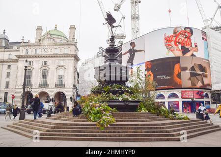 10. Februar 2022, London, England, Großbritannien: Der Shaftesbury Memorial Fountain im Piccadilly Circus, im Volksmund auch als Eros bekannt, wurde vor der Veröffentlichung von BBC's Green Planet AR Experience, die am 11th. Februar eröffnet wird, mit Pflanzen und Blumen bedeckt. (Bild: © Vuk Valcic/ZUMA Press Wire) Stockfoto