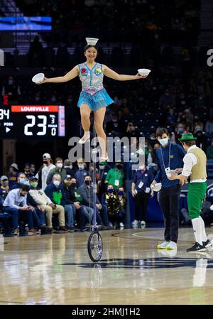 South Bend, Indiana, USA. 09th. Februar 2022. Red Panda tritt während der Halbzeit der NCAA-Basketballspiele zwischen den Louisville Cardinals und den Notre Dame Fighting Irish im Purcell Pavilion im Joyce Center in South Bend, Indiana, auf. Notre Dame besiegte Louisville 63-57. John Mersits/CSM/Alamy Live News Stockfoto