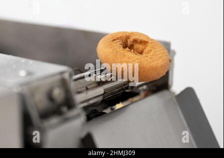 Donuts oder Donuts auf dem Förderband in der Fabrik, eine Art gebratener Teig-Süßwaren oder Dessertnahrung. Hochwertige Fotografie. Stockfoto