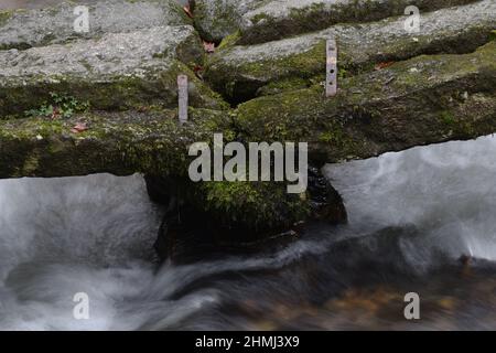 Die Lady-Wale-Brücke Cardinham Bodmin Moor Stockfoto