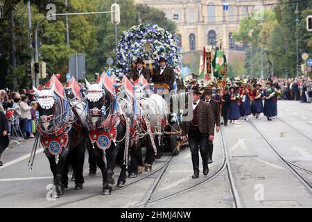 Wunderschön dekorierte Pferde ziehen während der Oktoberfest-Parade Bierfässer durch die Straßen Münchens. Stockfoto
