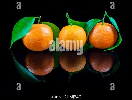 Mandarinen auf reflektierendem schwarzem Studiohintergrund Stockfoto