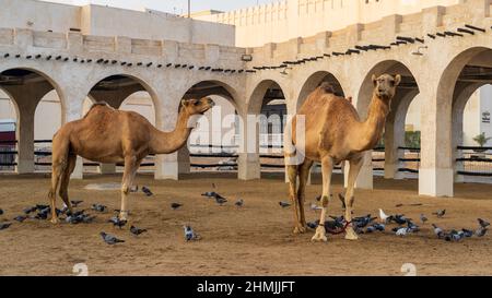 Traditionelles arabisches Gebäude aus Holz und Schlamm, dekoriert mit einer Fassade im traditionellen arabischen Stil im Souq Waqif (traditioneller Markt) von Doha Stockfoto