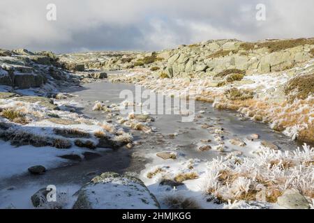 Gefrorener Teich und verschneite Vegetation mit einem schönen Nachmittagslicht im Naturpark Serra da Estrela, Portugal Stockfoto
