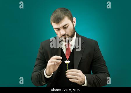 Romantisch. Wahrsagerei auf einer Blume. Ein brutal hübscher Mann in einem Anzug und einer roten Krawatte hält eine Gänseblümchen in seinen Händen und nimmt die Blütenblätter davon. Stockfoto