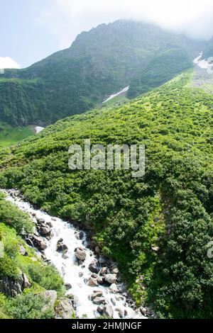 Der rauschende Brunnibach im Urner Maderanertal Stockfoto