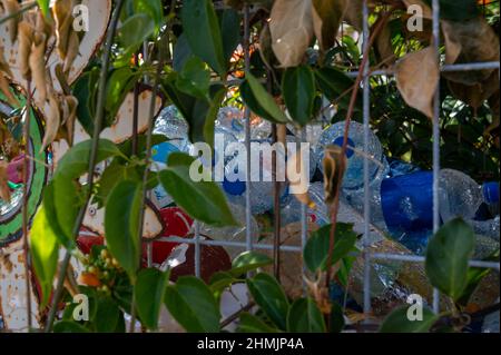 Viele leere Plastikflaschen auf der Straße in einem Behälter, der mit Blumen aus der Nähe verschlungen ist Stockfoto