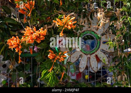 Viele leere Plastikflaschen auf der Straße in einem Behälter, der mit Blumen aus der Nähe verschlungen ist Stockfoto