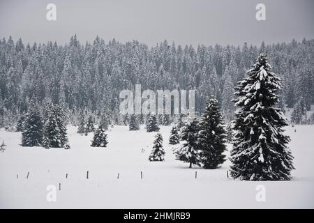 Winterliche Märchenlandschaft beim Moor von La Vraconnaz im Waadtländer Jura, Schweiz Stockfoto