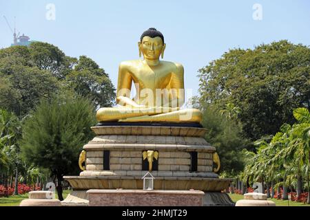 Goldene Buddha-Statue in den Cinnamon Gardens in Colombo Stockfoto