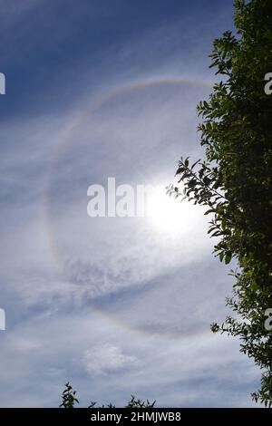 Halo Stockfoto