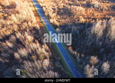 LKW mit Sattelauflieger fahren auf der Autobahn im Frühlingswald. Luftaufnahme LKW-Fahrt durch den Wald im Herbst. Fahren Sie mit einem Sattelschlepper auf Asphalt r Stockfoto