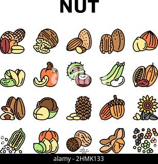 Nut Delicious Natural Nutrition Icons Set Vektor Stock Vektor