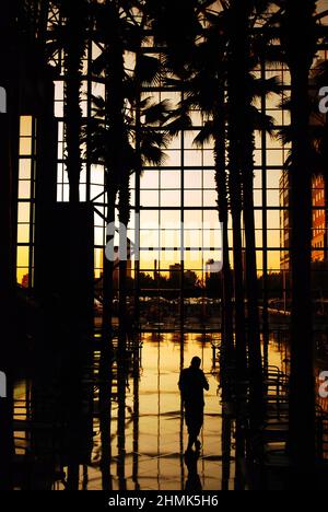 Sonnenuntergang, World Financial Center Stockfoto