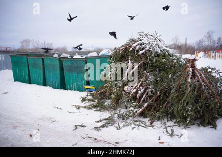 Wirf Weihnachtsbäume in den Müll Stockfoto