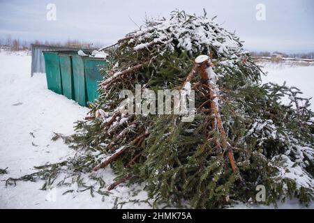 Wirf Weihnachtsbäume in den Müll Stockfoto