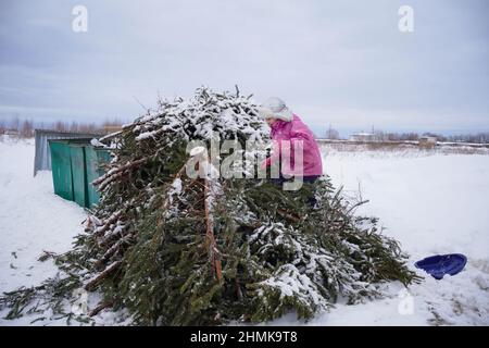 Wirf Weihnachtsbäume in den Müll Stockfoto