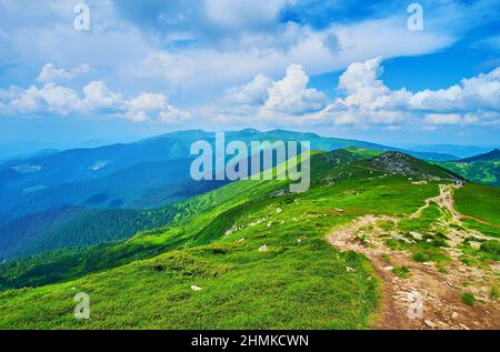 Die leuchtend grünen Hänge und Gipfel des Chornohora Gebirges gegen den blauen Himmel mit schönen weißen Wolken, Karpaten, Ukraine Stockfoto