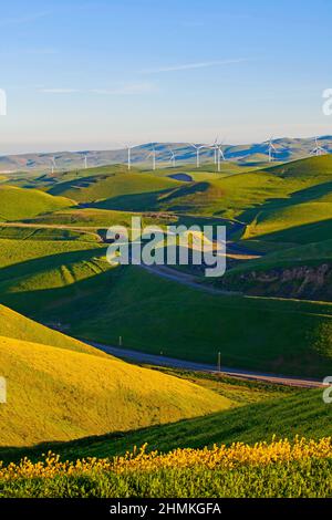 Windmühlen auf dem grünen Hügel, Kalifornien Stockfoto