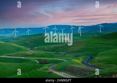 Windmühlen auf dem grünen Hügel, Kalifornien Stockfoto