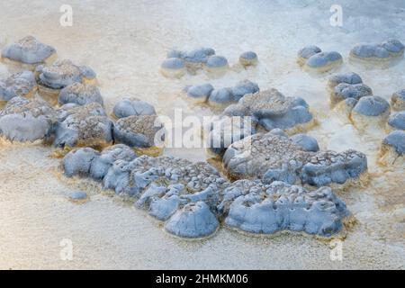 Formationen im Thermalbecken bei Solitary Geyser im Yellowstone National Park. Stockfoto