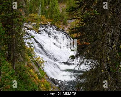 Lewis Falls, Yellowstone National Park, Wyoming. Stockfoto