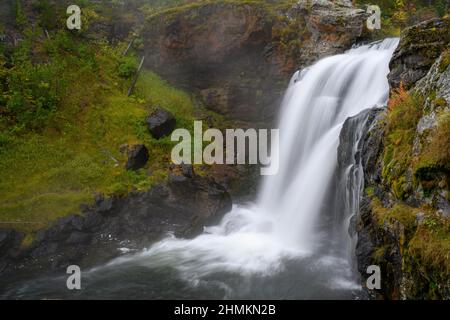 Moose Falls, Yellowstone National Park, Wyoming, USA. Stockfoto
