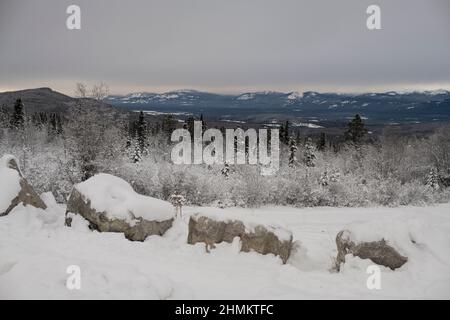 Fish Lake Road, Whitehorse, Yukon, Kanada Stockfoto