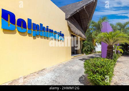 Cozumel, Quintana Roo, Mexiko, 20. September 2020: Delfinarium Dolphinaris Blue Cozumel, Marine Touristenattraktion, die es Besuchern ermöglicht, in tropischer Umgebung mit ausgebildeten Delfinen zu füttern, zu streicheln und zu schwimmen Stockfoto